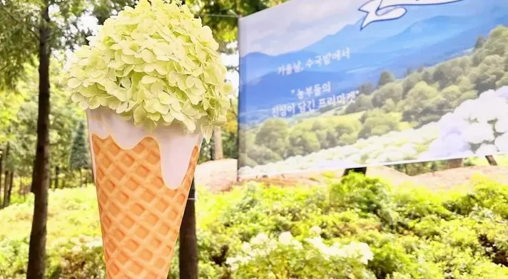 수국 아이스크림 꽃다발 / 사진=용설,구월의 유럽수국 인스타그램