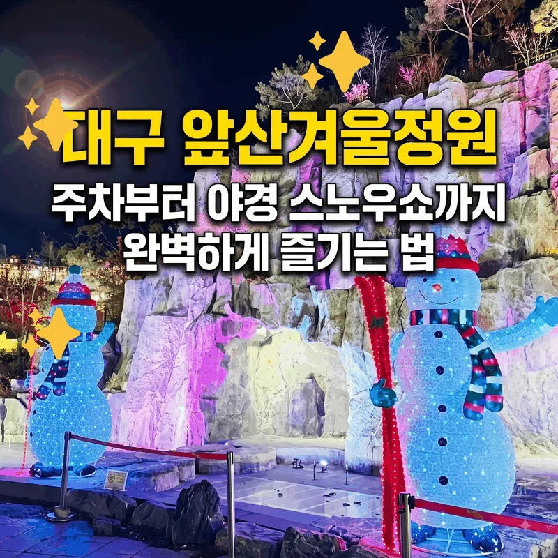 대구 앞산겨울정원 주차부터 야경 스노우쇼까지 완벽하게 즐기는 법