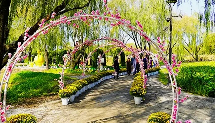 부여국화축제 / 사진=부여군 공식 블로그