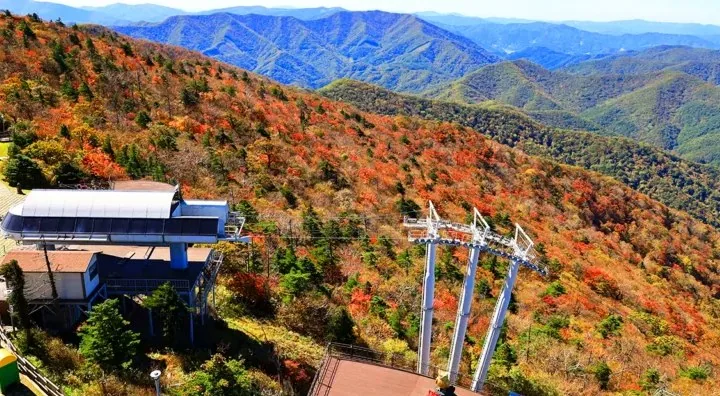 발왕산 케이블카 / 사진=모나용평