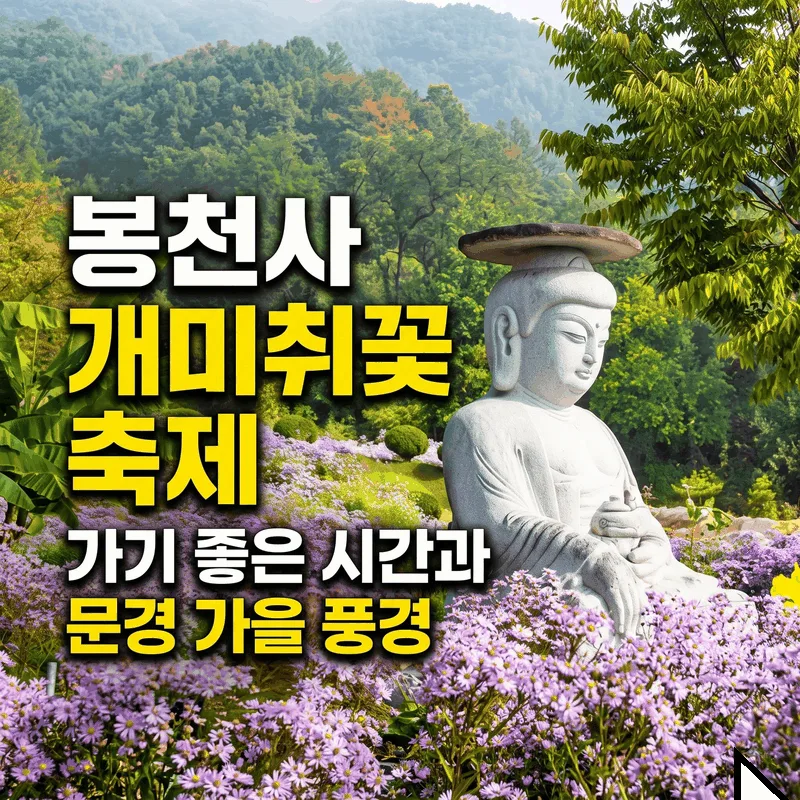 봉천사 개미취꽃 축제 가기 좋은 시간과 문경 가을 풍경