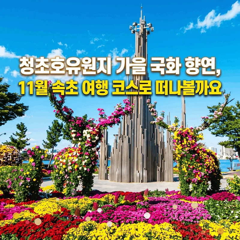 청초호유원지 가을 국화 향연, 11월 속초 여행 코스로 떠나볼까요