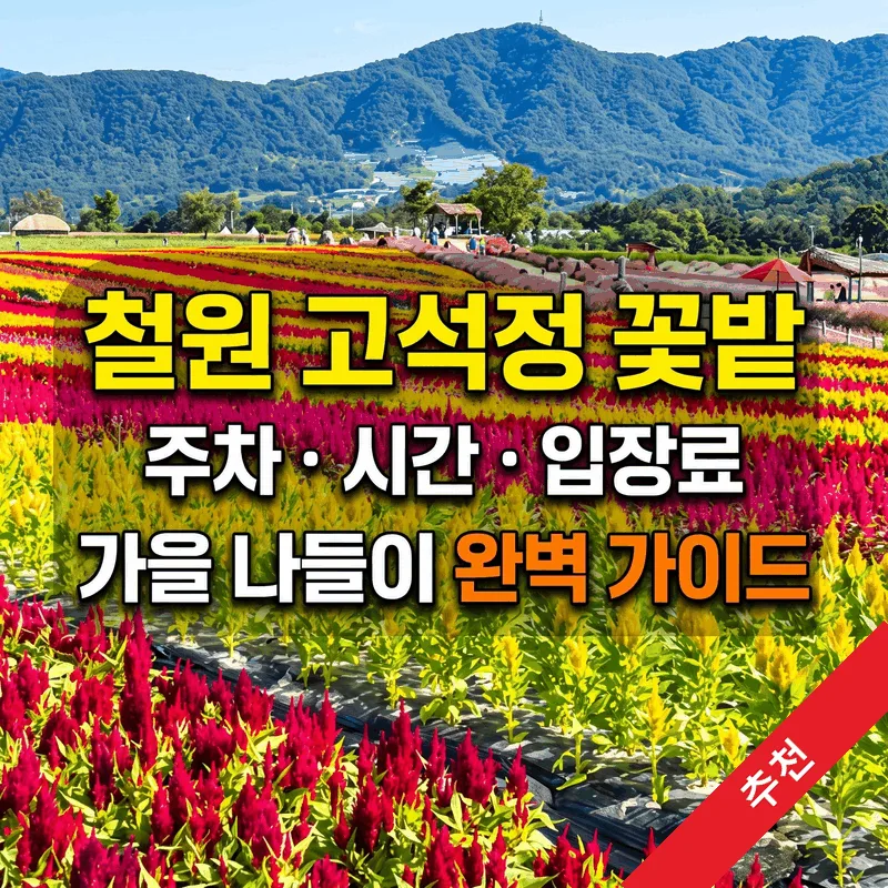 철원 고석정 꽃밭 주차 시간 입장료 가을 나들이 완벽 가이드