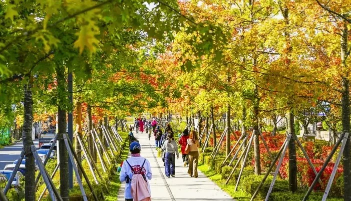치악산 바람길숲 산책 / 사진=원주시