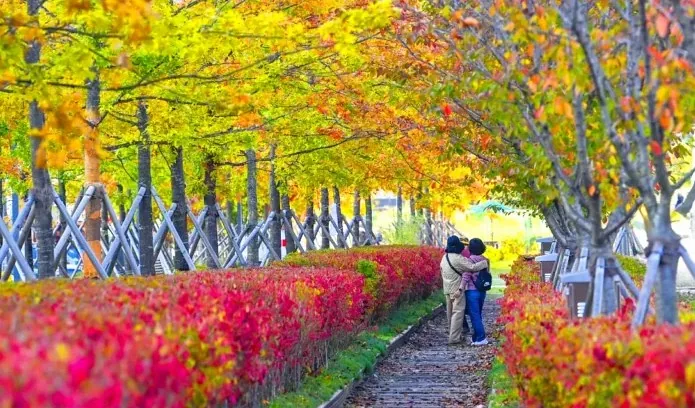 치악산 바람길숲 / 사진=원주시