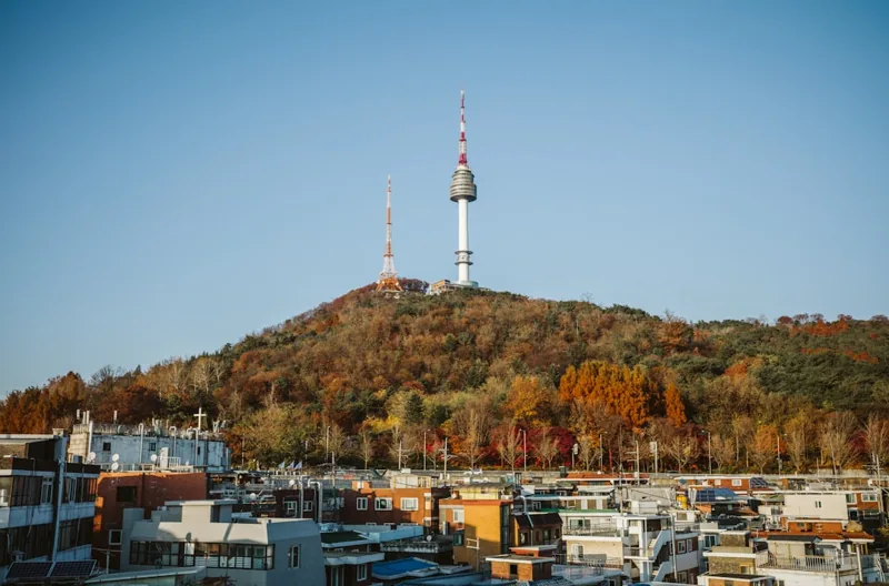 N서울타워, 단풍이 물든 남산 위로 솟은 타워 전경