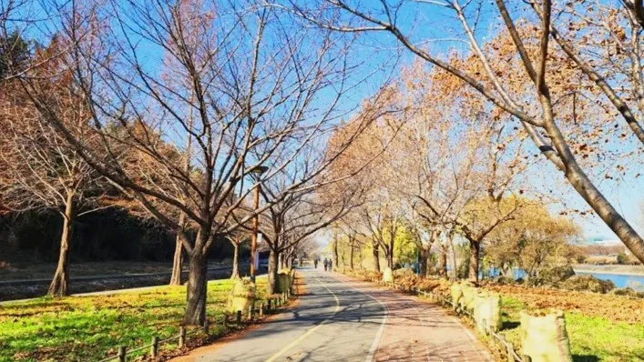 해맞이공원 산책로 / 사진=대구광역시 공식 블로그 김영주