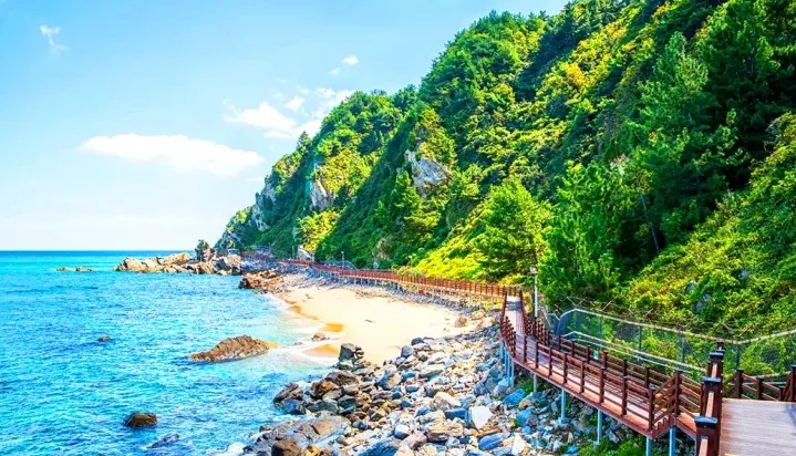 강릉 정동심곡 바다부채길 / 사진=한국관광콘텐츠랩