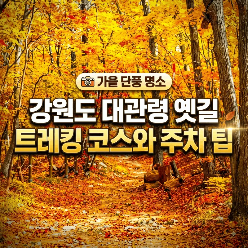 가을 단풍 명소 강원도 대관령 옛길 트레킹 코스와 주차 팁