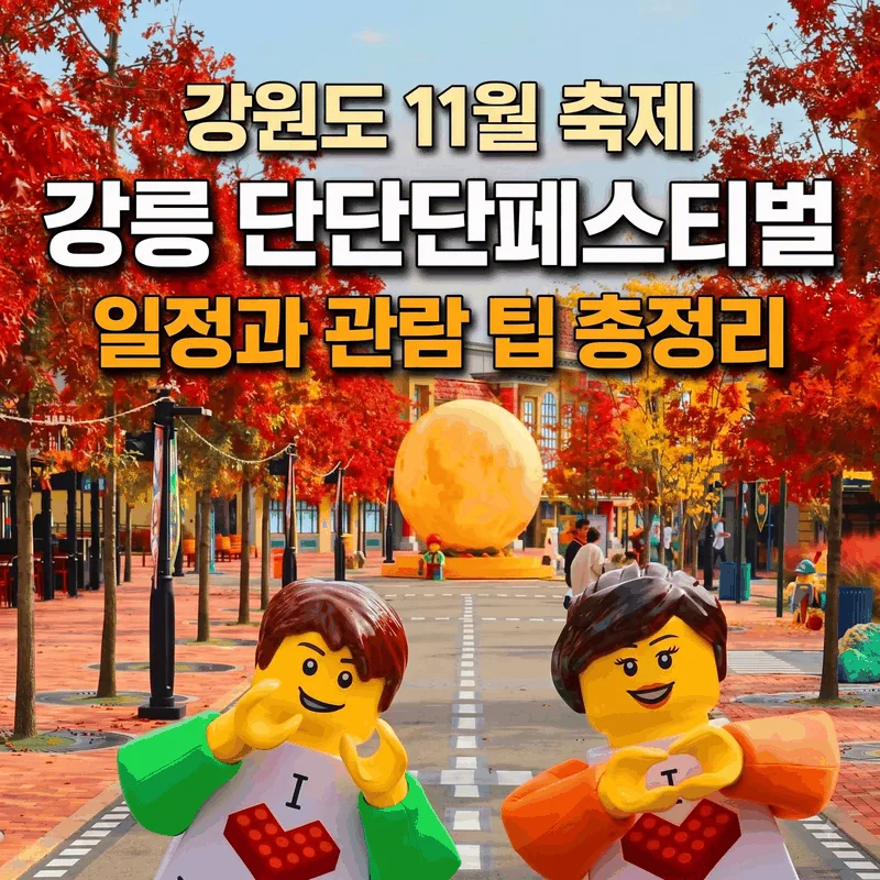 강원도 11월 축제, 강릉 단단단페스티벌 일정과 관람 팁 총정리