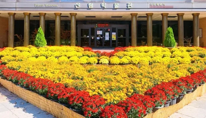 강원특별자치도립화목원 산림박물관 / 사진=강원특별자치도립화목원