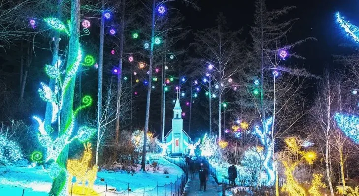 아침고요수목원 오색별빛정원전 모습 / 사진=게티이미지뱅크