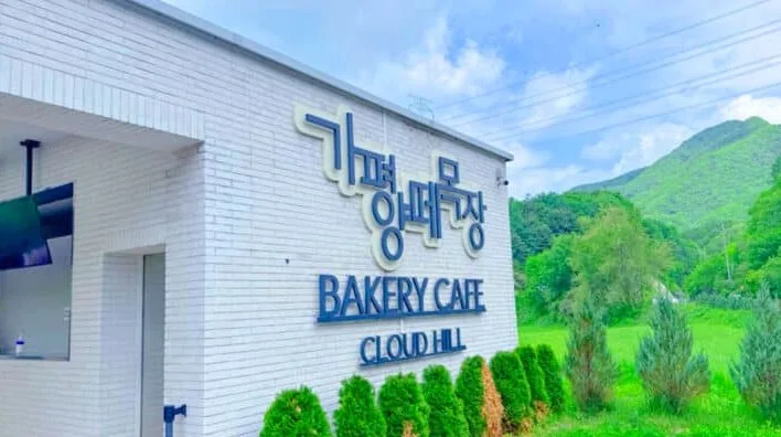 가평 양떼목장 / 사진=가평군 공식블로그
