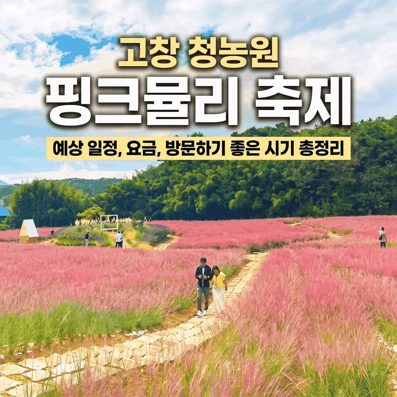 고창청농원 핑크뮬리축제 예상 일정과 요금 및 가기 좋은 시간 총정리