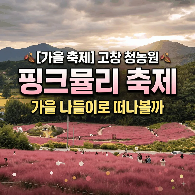 고창 청농원 핑크뮬리 축제, 가을 나들이로 떠나볼까
