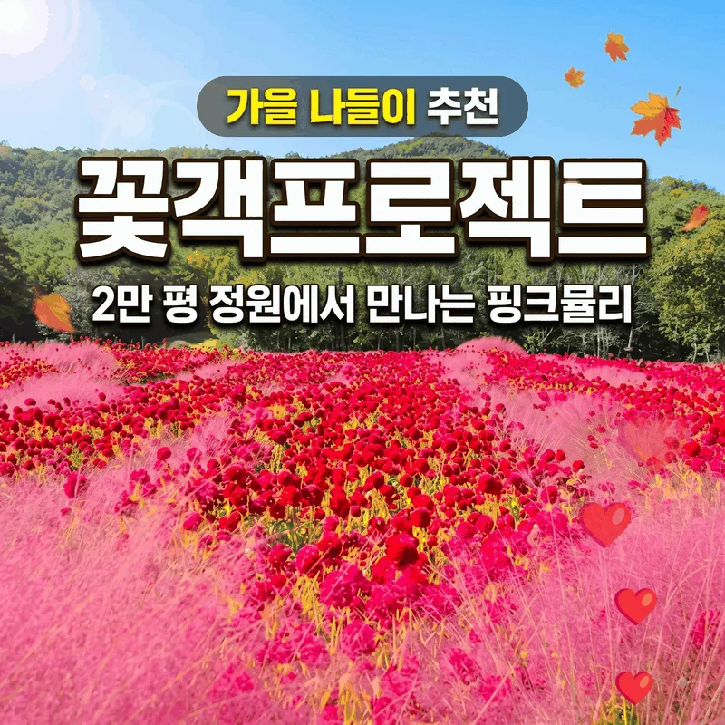 가을 나들이 추천 꽃객프로젝트, 2만 평 정원에서 만나는 핑크뮬리