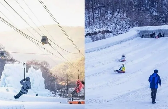 알프스마을 눈썰매장 / 온라인커뮤니티