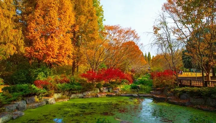 경상남도수목원 가을 / 사진=경상남도 공식블로그