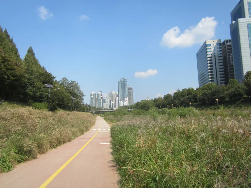서울 강남의 하천에 조성된 자전거길