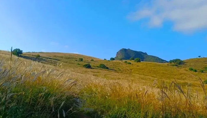 합천 황매산 억새축제 / 사진=황매산 군립공원