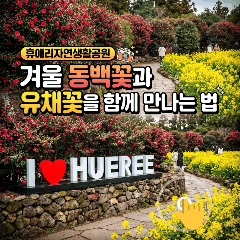 휴애리자연생활공원 겨울 동백꽃과 유채꽃을 함께 만나는 법