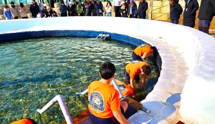 산천어 맨손잡기 / 사진=강원도 공식 블로그