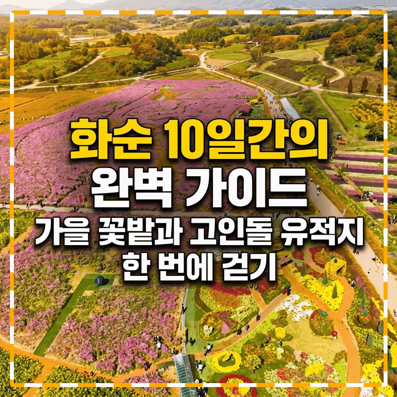 가을꽃 정원과 고인돌 유적을 한 번에 걷는 화순의 열흘 완벽 가이드