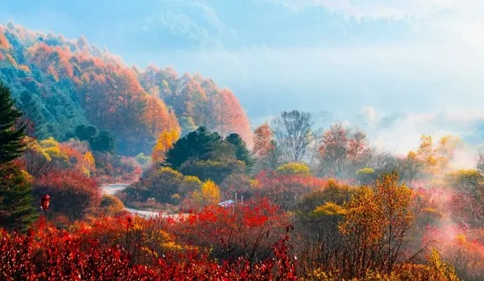 인제 비밀의 정원 가을 / 사진=인제군