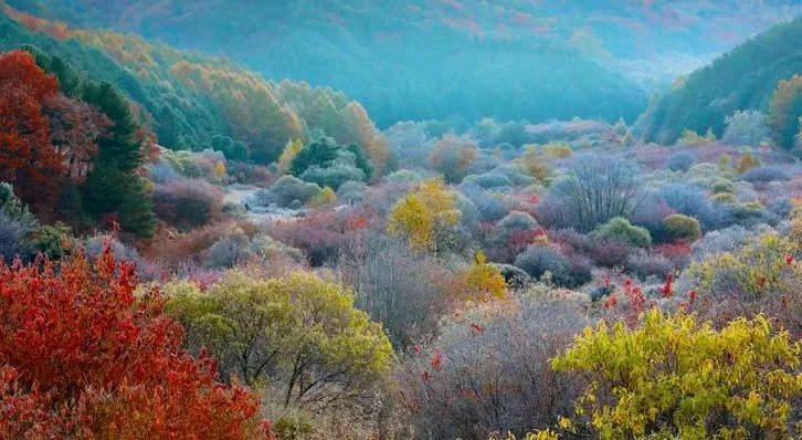 인제 비밀의 정원 / 사진=산림청