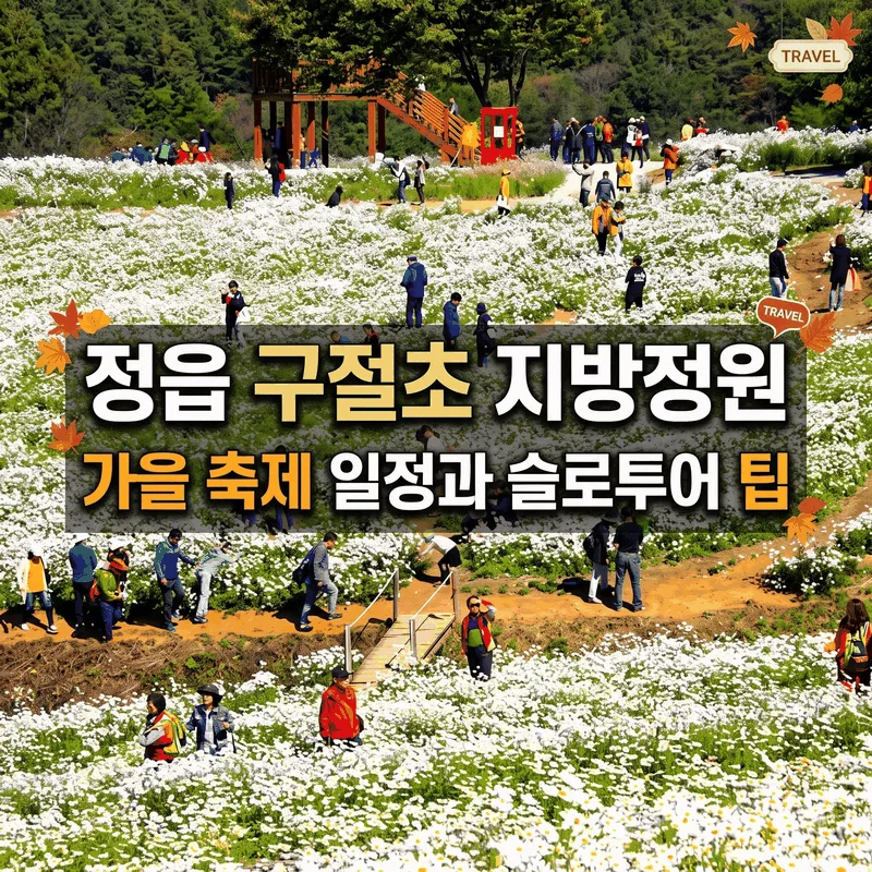 정읍 구절초 지방정원 가을 축제 일정과 슬로투어 팁