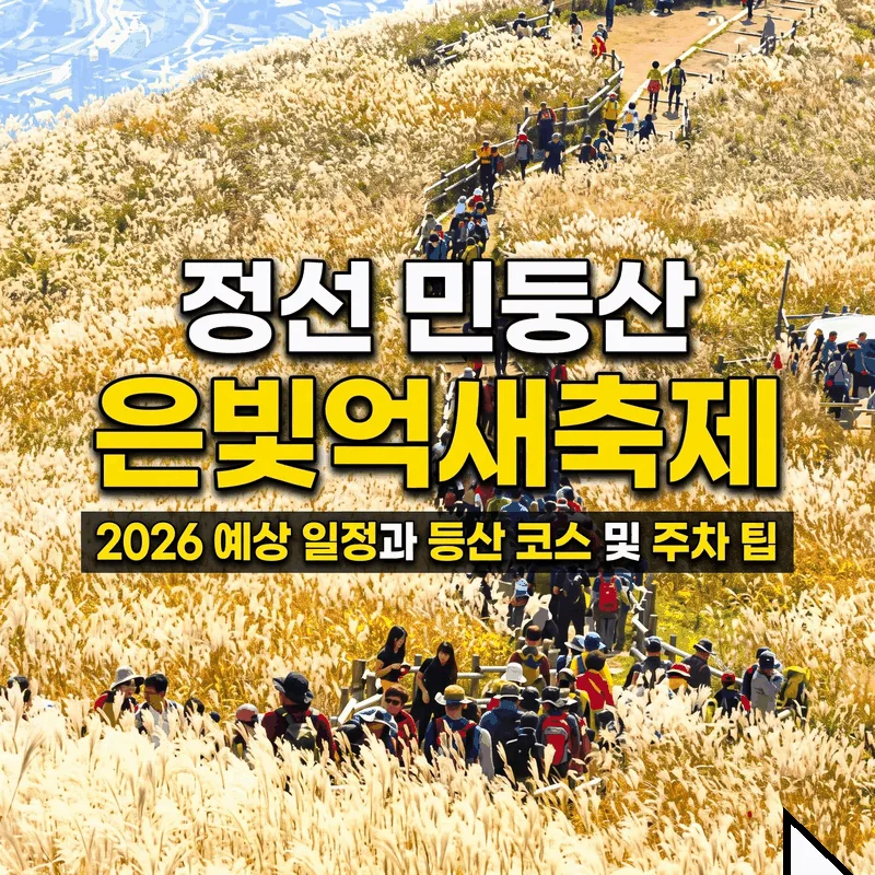 정선 민둥산은빛억새축제 2026 예상 일정과 등산 코스 및 주차 팁