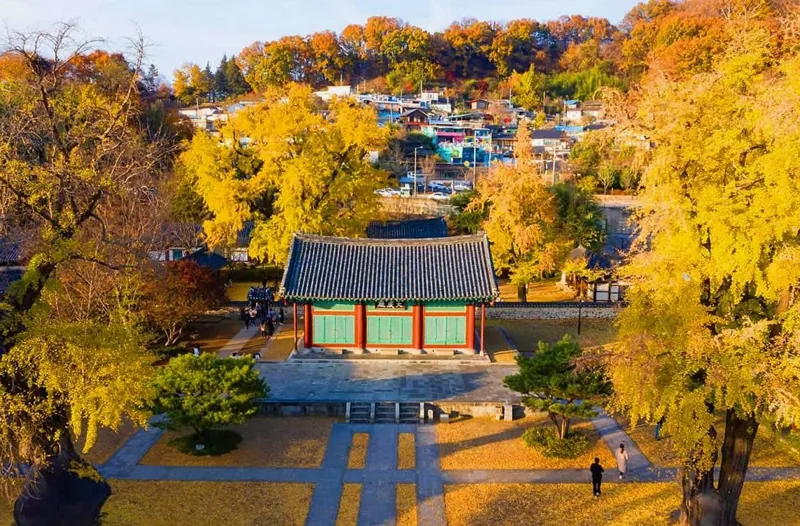 전주향교 가을 은행나무 / 사진=한국관광공사 디엔에이스튜디오