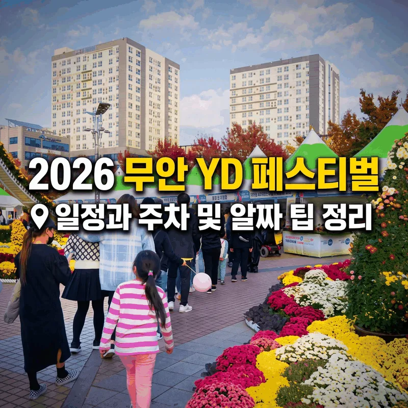 2026 무안 YD 페스티벌 일정과 주차 및 알짜 팁 정리