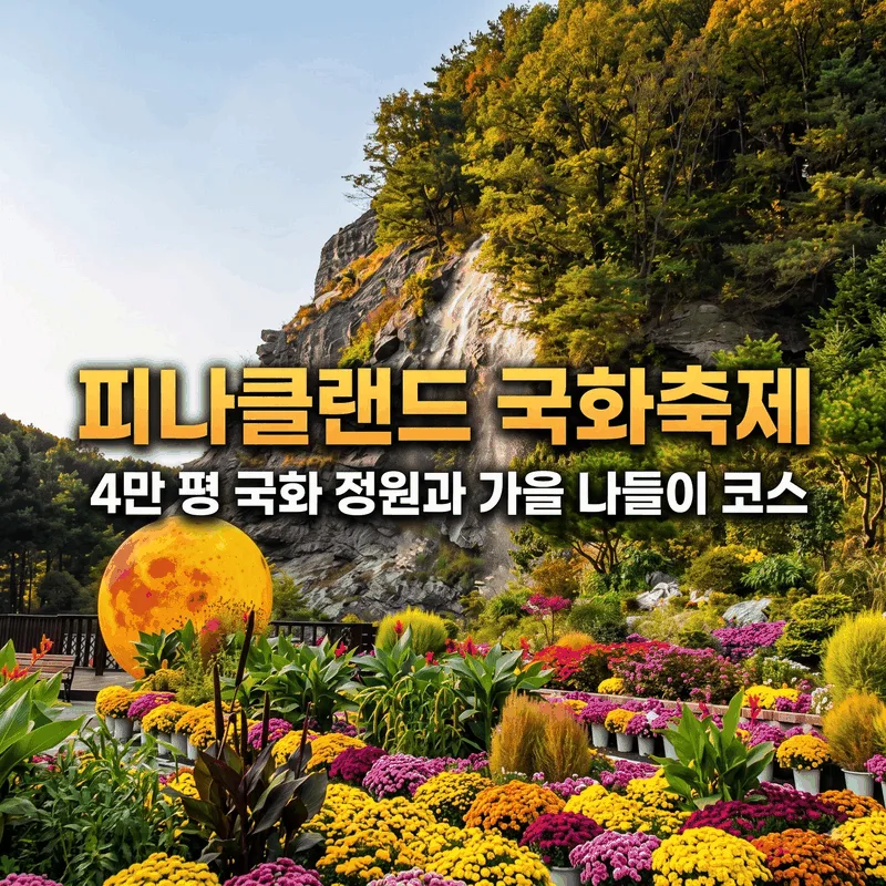 피나클랜드 국화축제 4만 평 국화 정원과 가을 나들이 코스