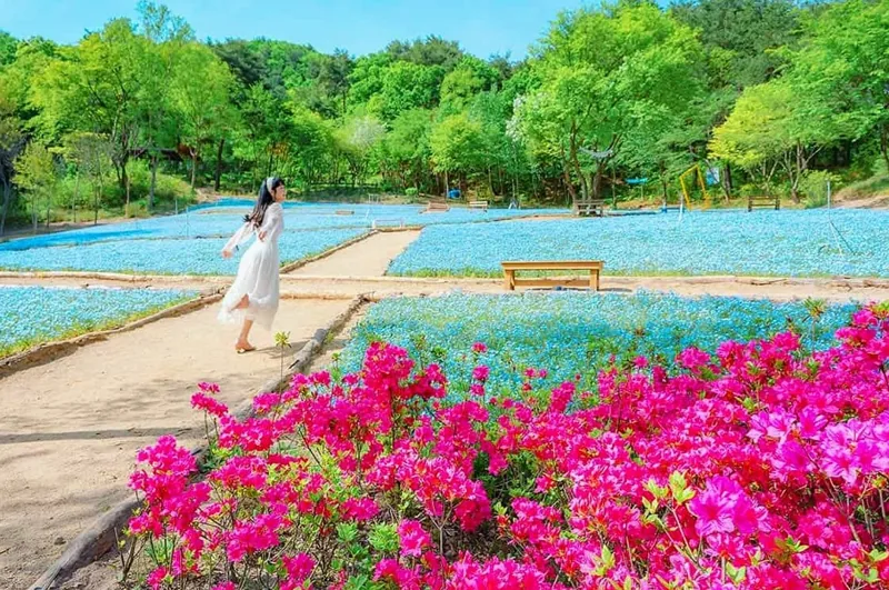 평강랜드 식물원 풍경 / 사진=온라인커뮤니티
