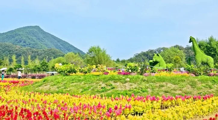 포천 한탄강 가든페스타 / 사진=경기도 뉴스포털