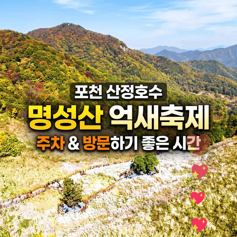 포천 산정호수 명성산 억새꽃축제 주차와 가기 좋은 시간 정리