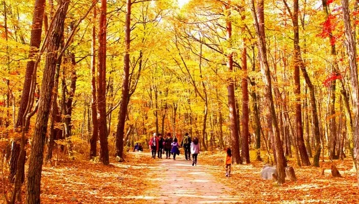 설악산 단풍 산책 / 사진=게티이미지뱅크
