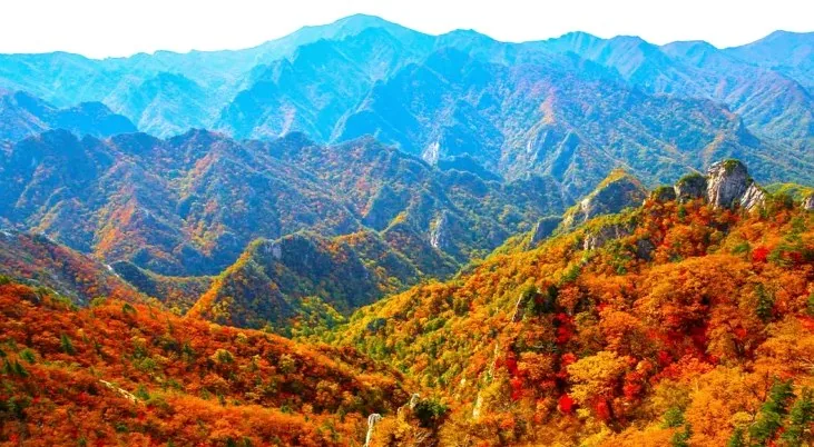 설악산 단풍 / 사진=강원도 공식 블로그