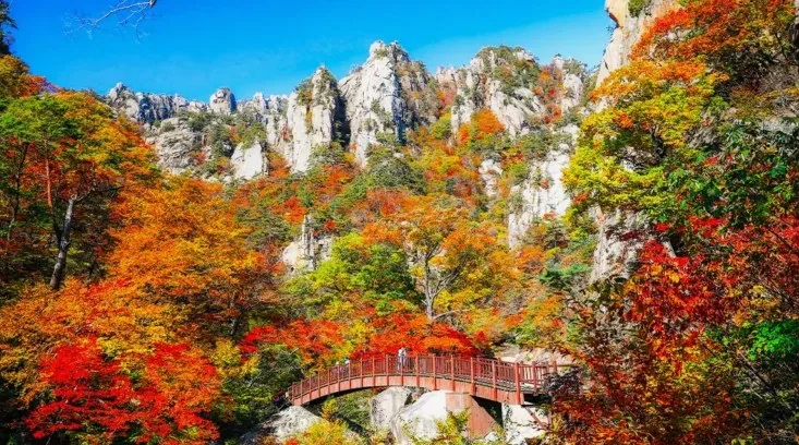 설악산 단풍 풍경 / 사진=ⓒ한국관광공사 강원지사 모먼트스튜디오