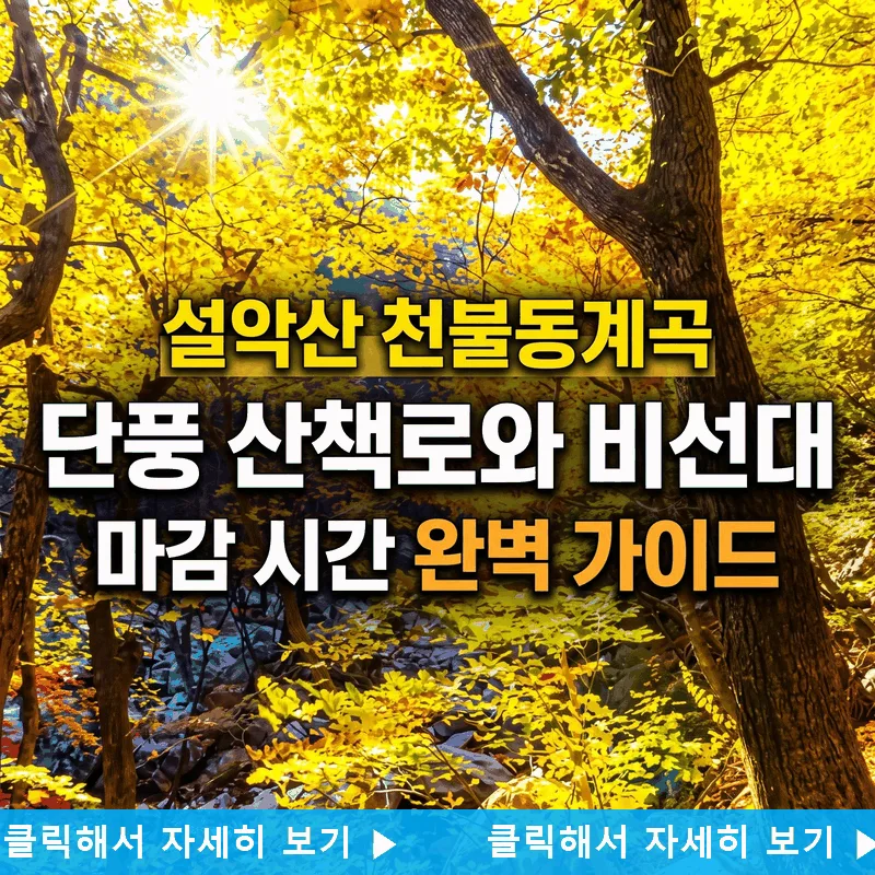 설악산 천불동계곡 단풍 산책로와 비선대 마감 시간 완벽 가이드