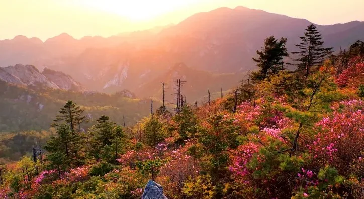 설악산 모습 / 사진=게티이미지뱅크