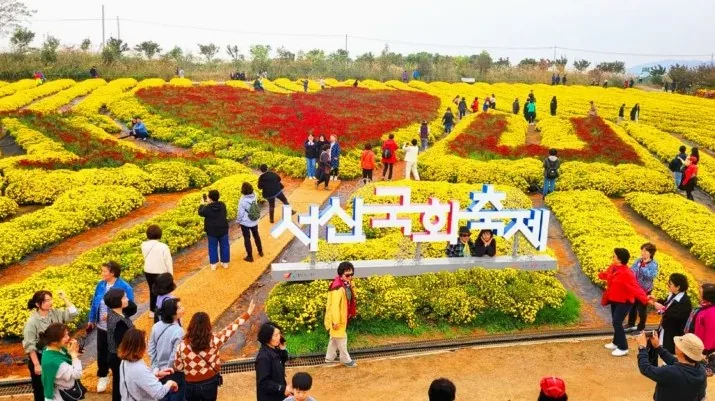 서산국화축제 모습 / 사진=서산시 공식 블로그