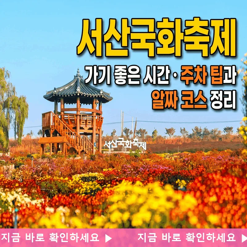 서산국화축제 가기 좋은 시간 주차 팁과 알짜 코스 정리