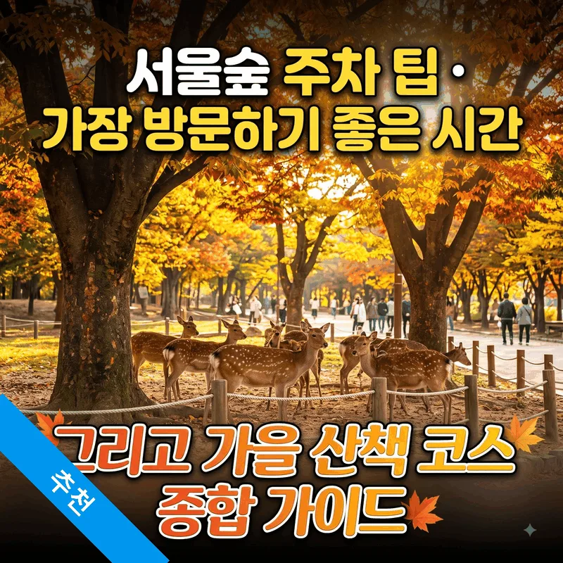 서울숲 주차 팁과 가기 좋은 시간, 가을 산책 코스 총정리
