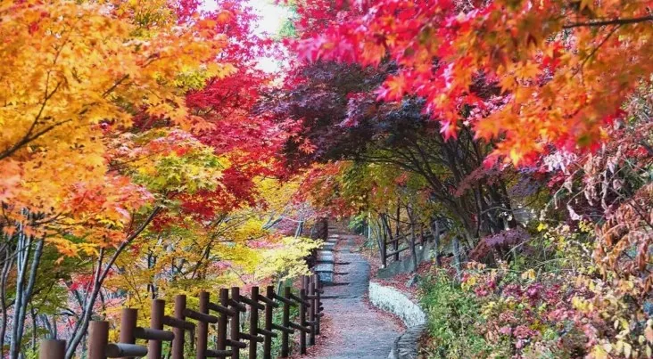 철암단풍군락지 트레킹 / 사진=ⓒ한국관광공사 강원지사