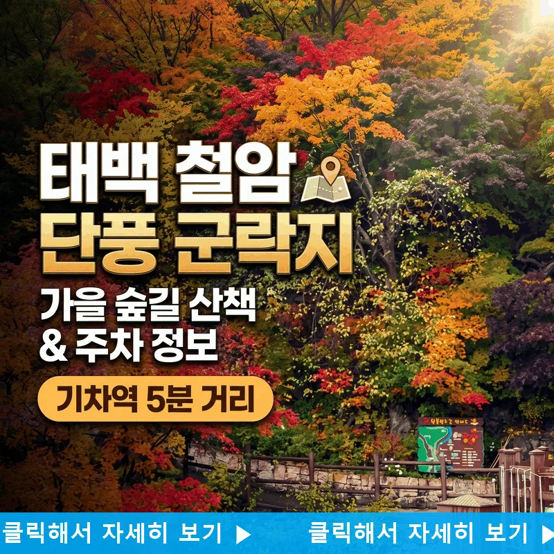 태백 철암단풍군락지 기차역 5분 거리 가을 숲 산책과 주차 정보