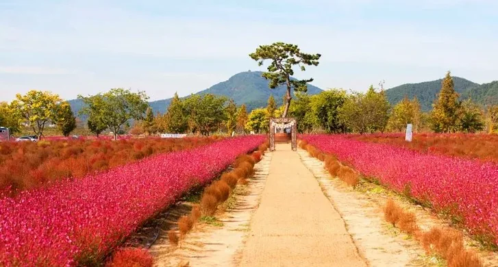 호국의병의 숲 친수공원 모습 / 사진=한국관광콘텐츠랩