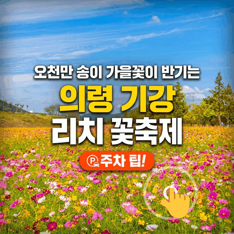 오천만 송이 가을꽃이 반기는 의령 기강 리치 꽃축제 주차 팁