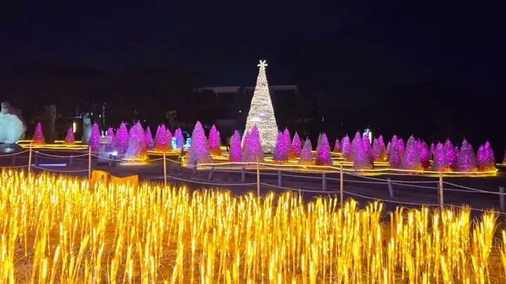 간절곶 야간 경관 전시 / 사진=울주문화재단